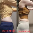 엔돌핀인셀덤