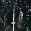 바다가아름다운집 이미지