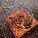 별빛두레캠핑장 | 감성캠핑용품 소개] 무릉도원 같았던 진안 별빛 두레 캠핑장 : 노르디스크 텐트 후기 &amp; 이케아 파라솔