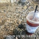 용인 수지 계곡카페 광교산 자락 코나헤이븐 이용후기