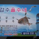 물치항횟집