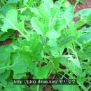 한민농장 이미지