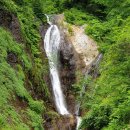 심양행정사 이미지