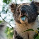 gc-camera-040 이미지