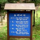 '16,10,29,토요일 걸어서 홍천 명개리 - 오대산 두로령넘어 진부까지. 이미지