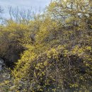 백석3리 이미지