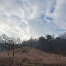 비학산 누리길 이미지