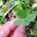 칠십리공원 이미지