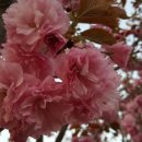 송죽농장 이미지