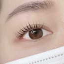 유노이아뷰티 속눈썹펌연장 네이버블로그