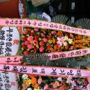 (주)신동영