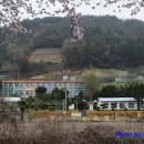 소라초신흥분교장 이미지