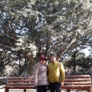 안덕계곡 앞 4 이미지