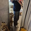 드롭바이 | 남자 빅사이즈 쇼핑몰 바이모노 자동넣입 드롭 반팔티 쏙쏙숨티 후기