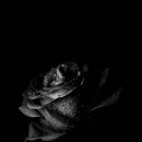 광주시청R 이미지