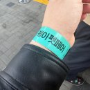 에브리캣 | 2026 케이펫페어 세텍(SETEC) 2일차 토요일 다녀온 후기! (내돈내산 제품들 + 고양이 집사가 다녀온 펫...