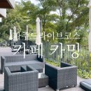 카밍테이블 | 파주 드라이브코스 카페 카밍 망고빙수 맛집