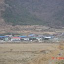 선창담배 이미지