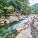 지리산뱀사골 맑은물 펜션 이미지