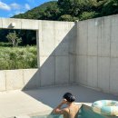 스테이 쉬온 이미지