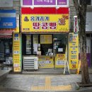 옹기종기 | 춘천 중앙시장 맛집 '옹기종기땅콩빵' 내돈내산 단골 후기 (feat. 고구마칩)