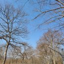 유로메디케어 이미지