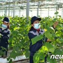 완수농장 이미지