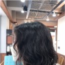헤어캐슬미용실 - 양천구 신월동 | 헤어캐슬미용실
