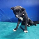 점곡보건지소 이미지