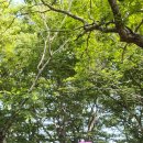 상리공원 이미지