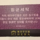 헤라무인텔 이미지