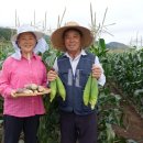 김영욱농장 이미지