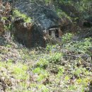 흥국농장 이미지