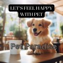 백옥대로730번길 | 용인 남사읍 강아지와 함께 가기 좋은 애견동반 카페 TOP 5 추천