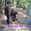 스포렉스 태권도 이미지