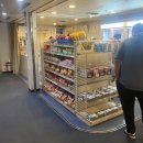 카멜리아 이미지