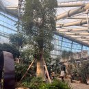 푸른어린이공원 공중화장실 | 주말 나들이 포항 가볼만한곳 환호공원 식물원 주차 입장권 후기까지