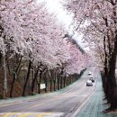 이충분수공원1 이미지