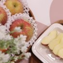 준호농장 이미지