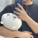 제로백 송정점 | 근황