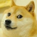 몽블리 애견카페 이미지