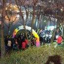 벚꽃풍선 이미지