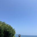남해 마린피아 풀빌라스파 펜션 내돈내산 후기