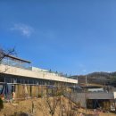 우드바우어 | 대구 수성구 탁트인 숲뷰 대형 브런치카페 '바우어' 후기, 메뉴 및 주차 정보
