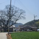 월포마을 이미지