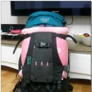 디자인비버