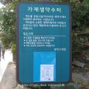 가재샘 Daum카페