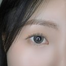 모카스타 | 클라렌 아이리스 컬러뮤즈 모카블랙 후기 🩶