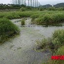 양양방역환경 이미지