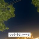 스미비;텐